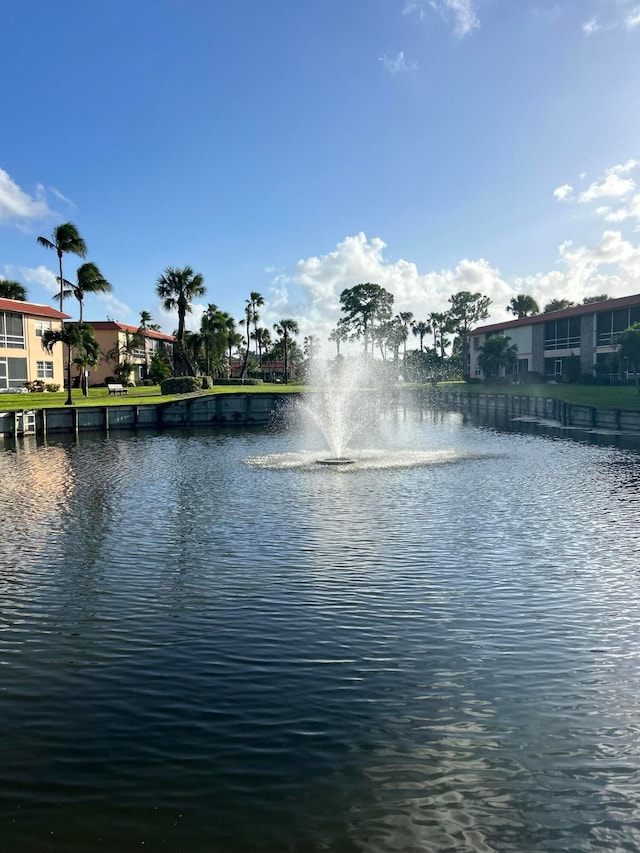 view of water feature