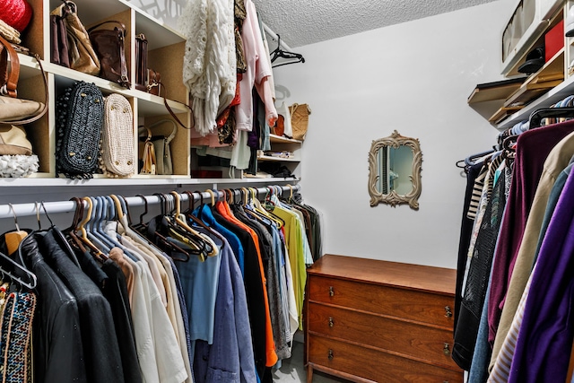 view of spacious closet