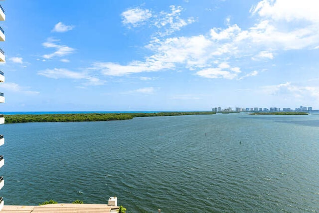 view of water feature featuring a dock