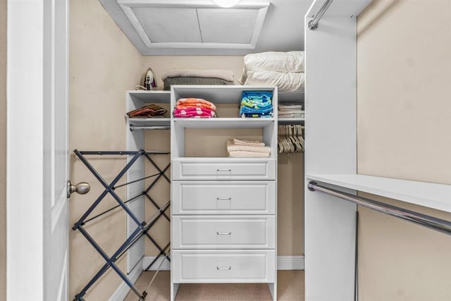 spacious closet featuring carpet