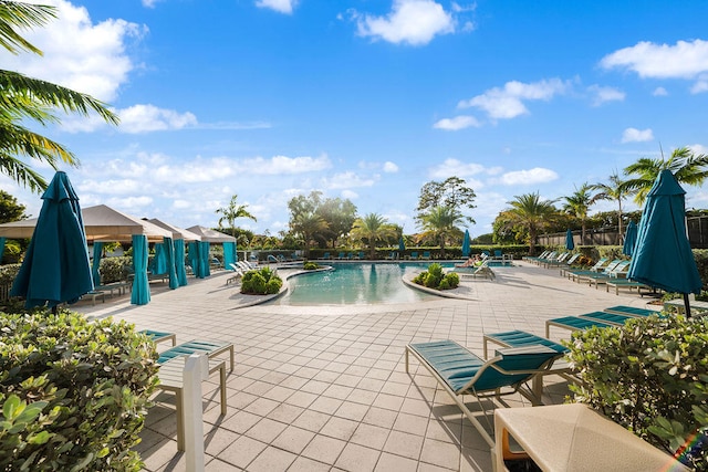 view of swimming pool featuring a patio