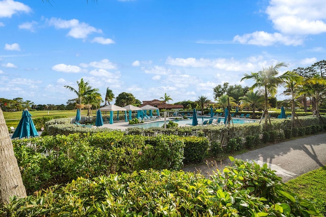 view of swimming pool