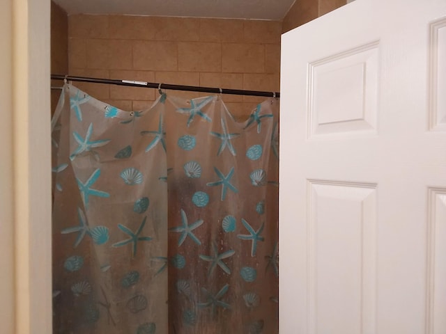 bathroom featuring a shower with shower curtain