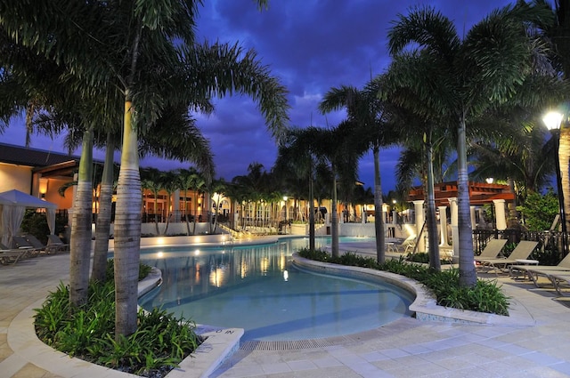 view of swimming pool featuring a patio area