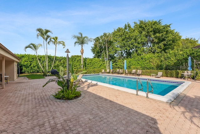 view of swimming pool with a patio