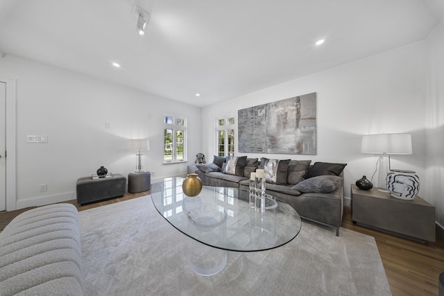 living room with hardwood / wood-style flooring