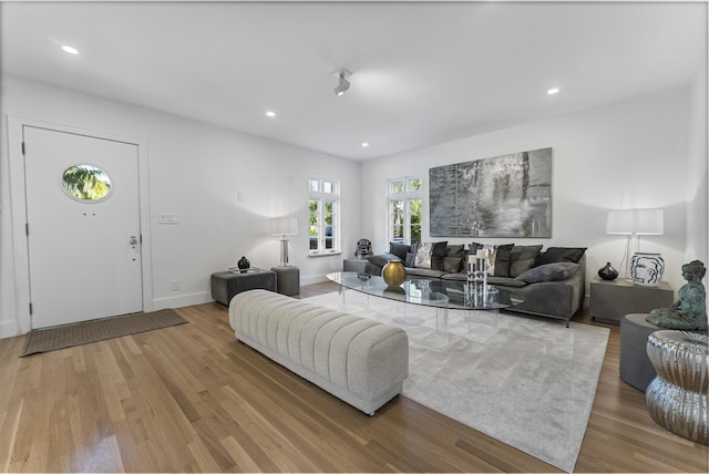 living room with light hardwood / wood-style floors