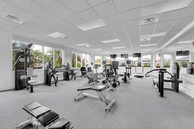 gym with light carpet, a drop ceiling, and a healthy amount of sunlight