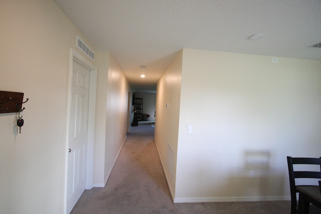 hallway featuring carpet