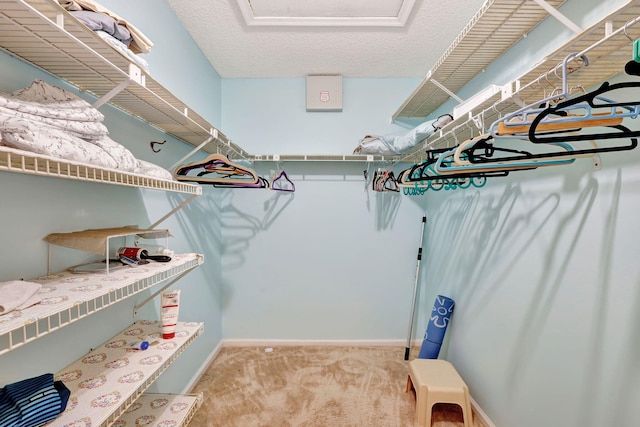 10088 Shadywood Pl, Boynton Beach, FL 33437 - walk in closet with carpet