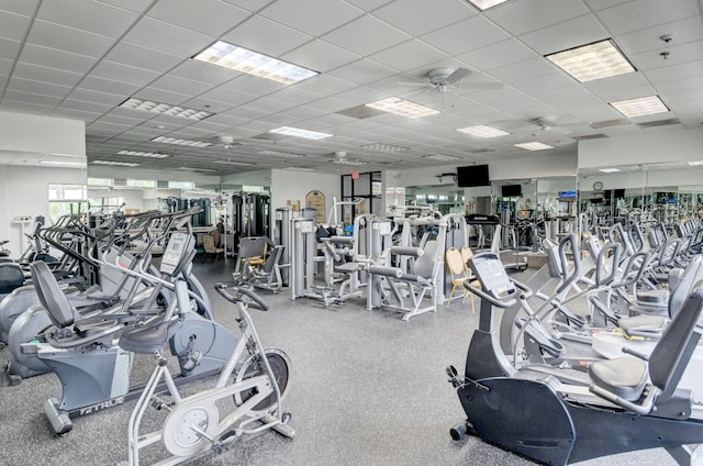 workout area with a drop ceiling and a ceiling fan