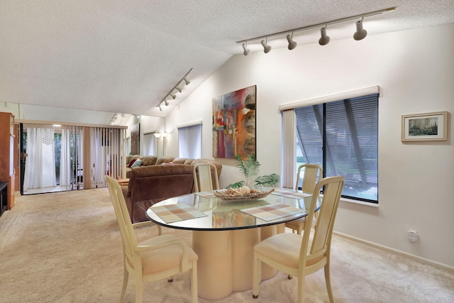 10088 Shadywood Pl, Boynton Beach, FL 33437 - dining room featuring track lighting, lofted ceiling, a textured ceiling, light carpet, and baseboards