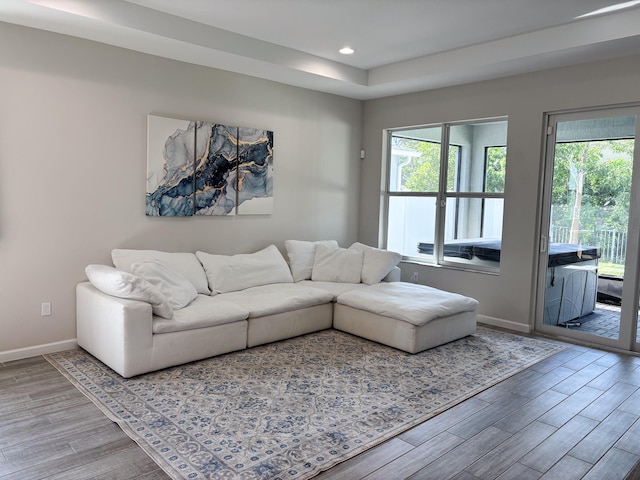 living room with hardwood / wood-style flooring and plenty of natural light