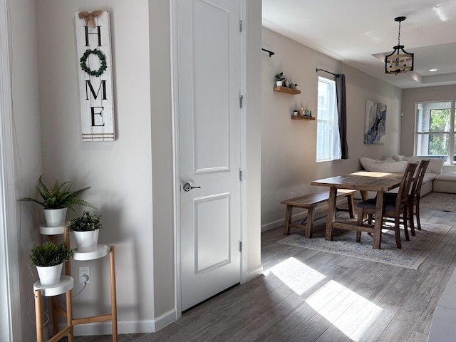 dining area featuring a chandelier and dark hardwood / wood-style floors