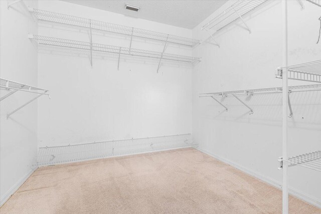 empty room with carpet flooring and ceiling fan