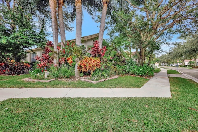 11481 Kanapali Ln, Boynton Beach, FL 33437 - view of side of property featuring a yard and stucco siding