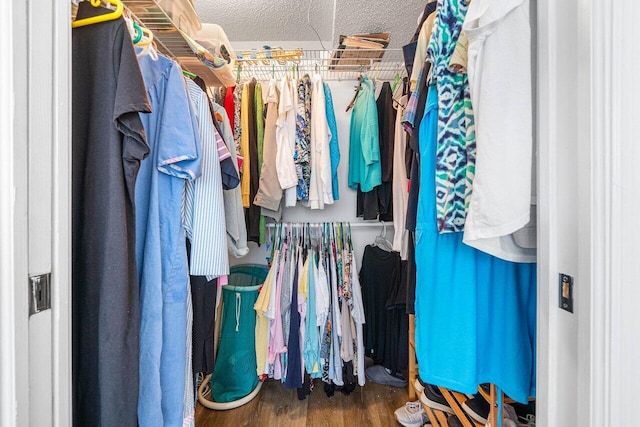 spacious closet with dark wood-type flooring