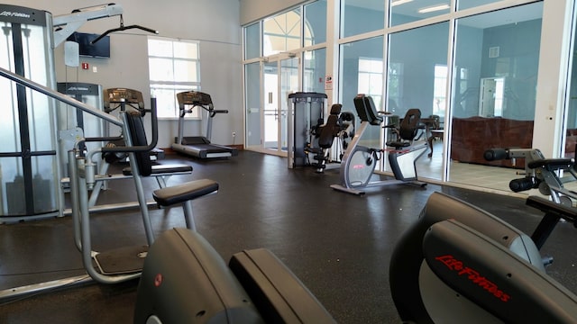 workout area with a wealth of natural light