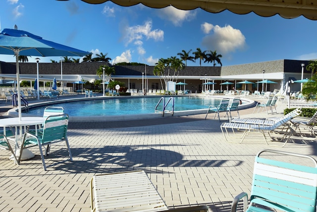 view of pool with a patio