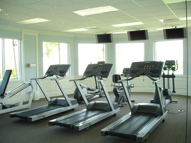 exercise room featuring ornamental molding, a drop ceiling, and a healthy amount of sunlight