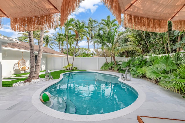 view of pool featuring a patio area