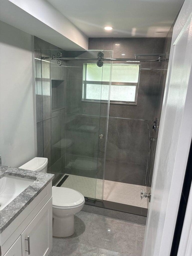 bathroom with vanity, an enclosed shower, and toilet