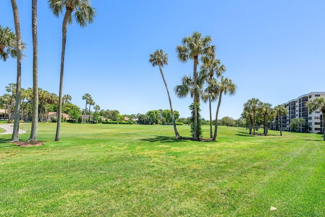 surrounding community featuring a yard