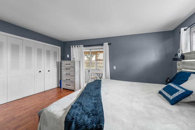 bedroom featuring wood-type flooring and a closet