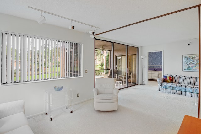 living room featuring a healthy amount of sunlight, track lighting, carpet, and a textured ceiling