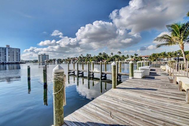 dock area with a water view