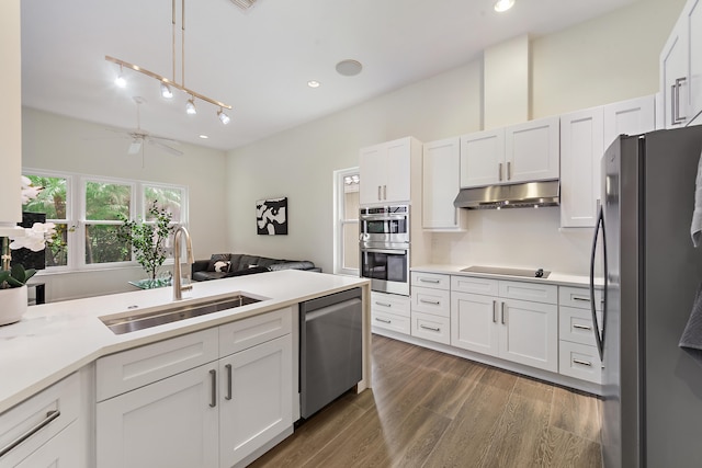 kitchen featuring stainless steel appliances, sink, ceiling fan, dark hardwood / wood-style floors, and white cabinetry