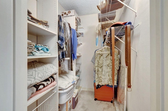 spacious closet with light colored carpet