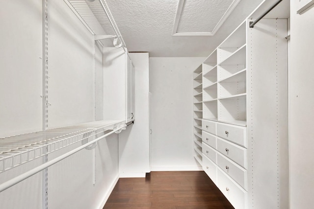 spacious closet featuring dark hardwood / wood-style flooring