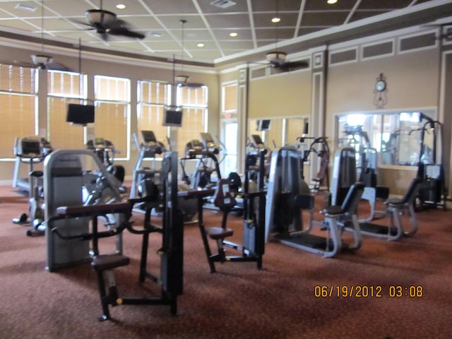 workout area with crown molding, ceiling fan, and a healthy amount of sunlight