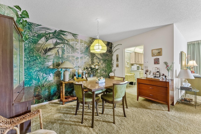 dining room with plenty of natural light, a textured ceiling, and light colored carpet