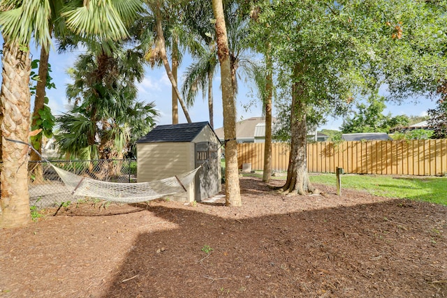 view of yard featuring a storage unit