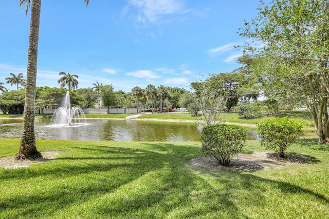 view of water feature