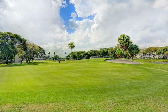 view of community with a yard