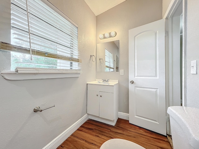 bathroom featuring vanity and wood-type flooring