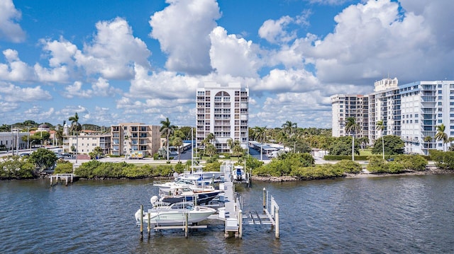 dock area with a water view