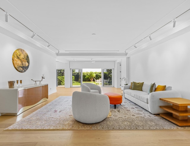 living room with light hardwood / wood-style floors and rail lighting