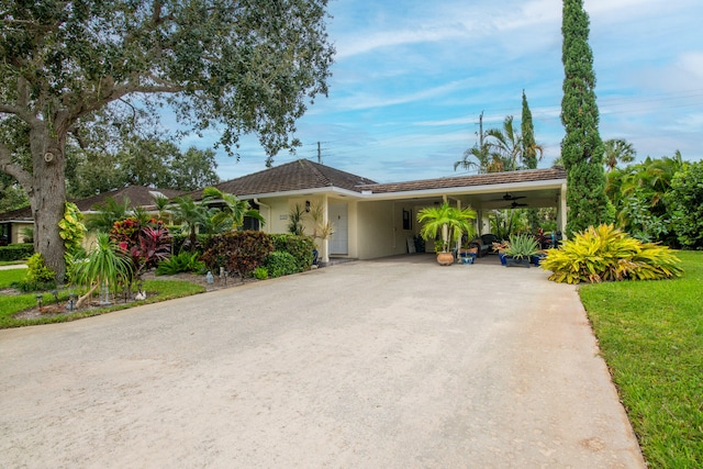 ranch-style house featuring a front yard, a carport, and ceiling fan