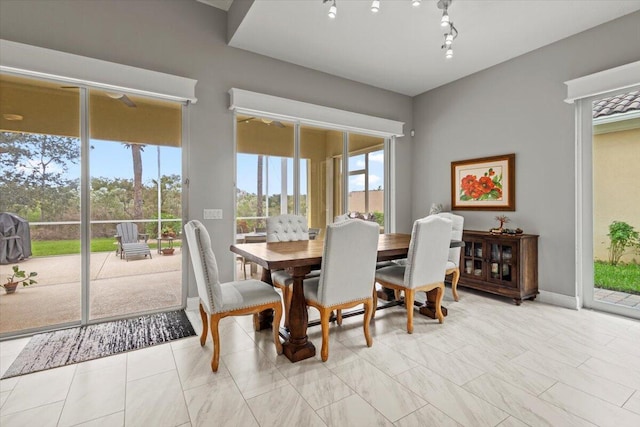 dining space with track lighting