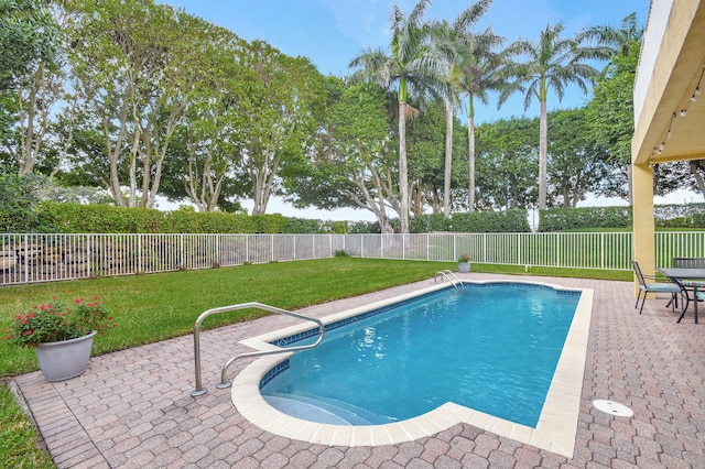 view of pool featuring a patio and a lawn