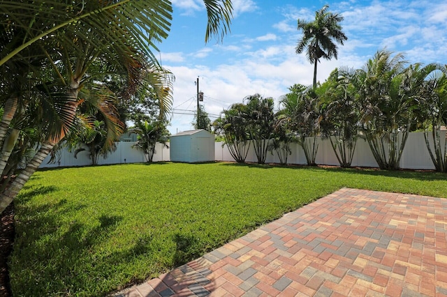 view of yard featuring a patio area and a storage shed