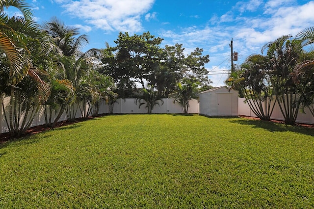 view of yard featuring a storage unit