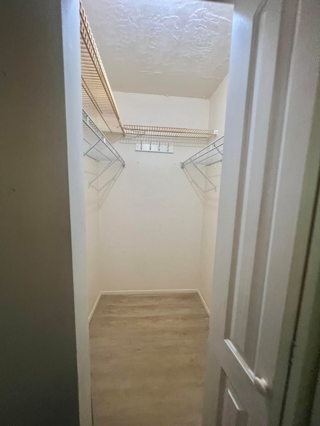 walk in closet with hardwood / wood-style flooring