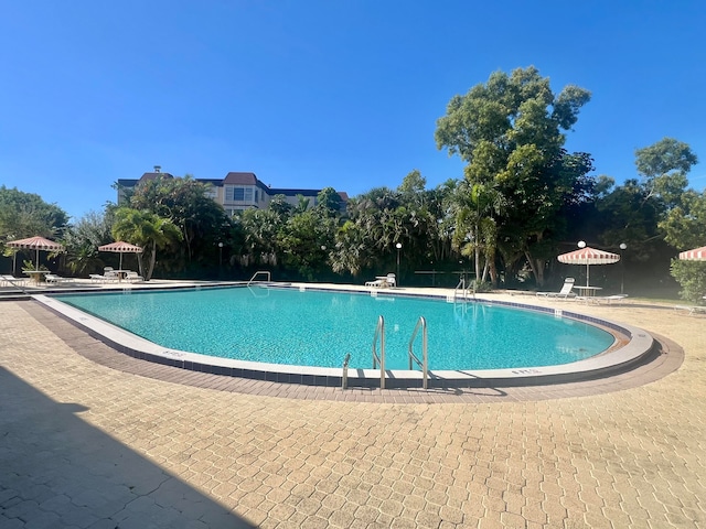 view of pool with a patio