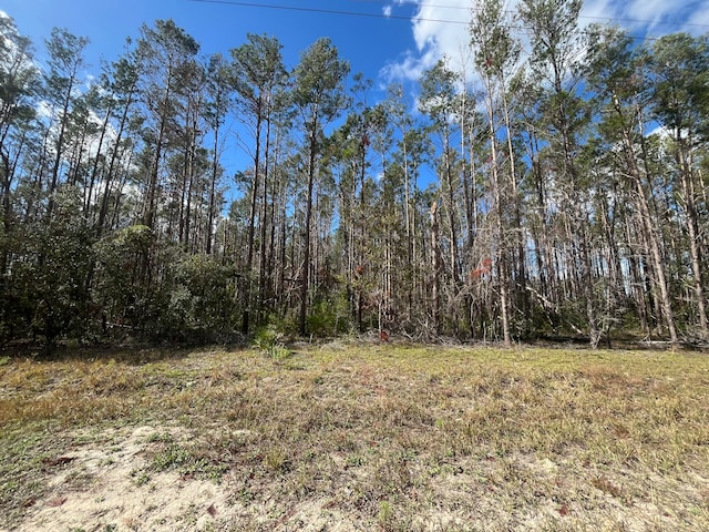 Listing photo 2 for Tbd Atlantic, Perry FL 32348