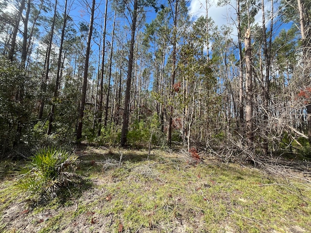 Listing photo 3 for Tbd Atlantic, Perry FL 32348